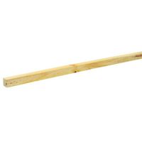 new-product