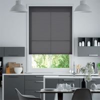 Lichtfilterend-Antraciet