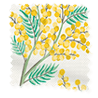 Mimosa-Bloem-Citroen