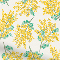 Mimosa-Bloem-Citroen