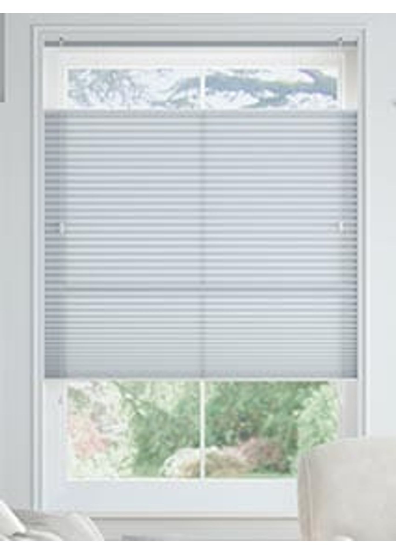 Lichtfilterend-Wisteria-TDBU-