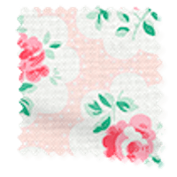 Provence-Roos-Roze