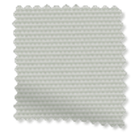Eclipse-Duif-Grijs